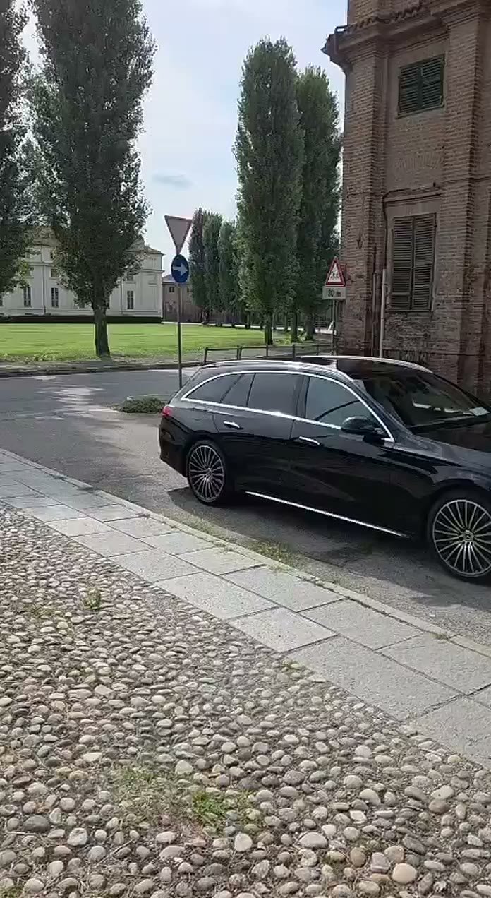 Anteprima video: Mercedes Executive in movimento